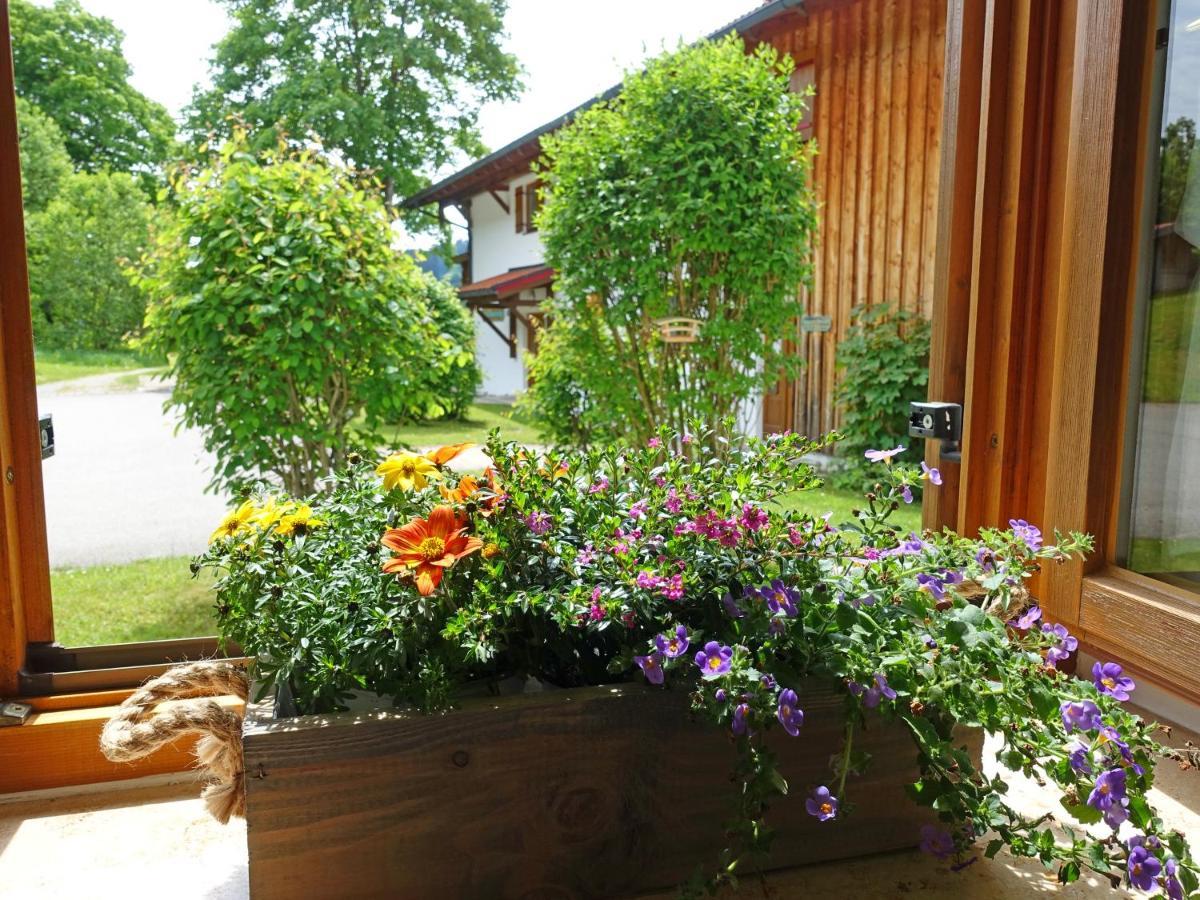 Ferienwohnung Murmeltier 사슈랑 외부 사진